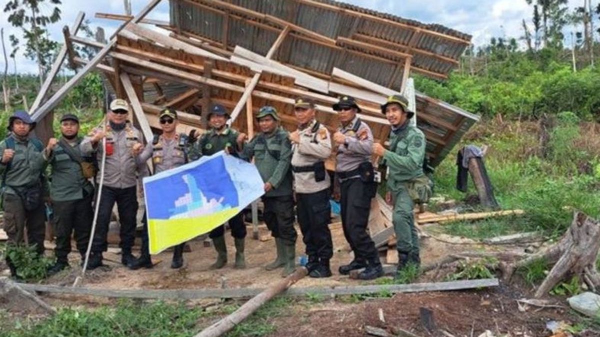 Populasi Gajah Menyusut, Kemenhut Janji Tertibkan Tesso Nilo dari Aktivitas Ilegal