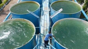 Perumda Danum Taka Ungkap Produksi Air Bersih  di Penajam Paser Utara Terjun Bebas Hanya 50 persen