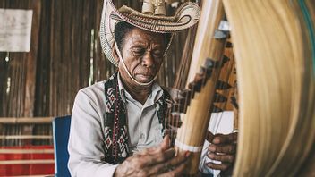 Variety Of Traditional Musical Instruments NTT: Types, Materials, And Functions 
