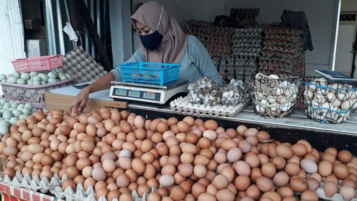 Telur Ayam di Baturaja Mengalami Kenaikan Harga Jelang Natal dan Tahun Baru, Komoditas Lain Juga Melonjak
