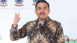 Menteri Maman Minta UMKM Penuhi Kebutuhan Domestik