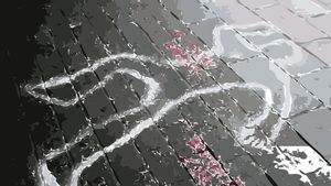 Polisi Nigeria Tangkap 6 Orang Pelaku Penyerangan yang Tewaskan 3 Petugas