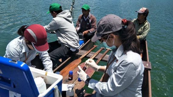 Danau Kembar Buleleng Surut, Diduga karena Kerusakan Hutan