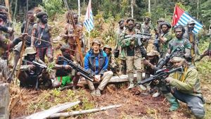 Kapolda Papua Ungkap Lokasi KKB Sandera Pilot Susi Air Sulit Dijangkau
