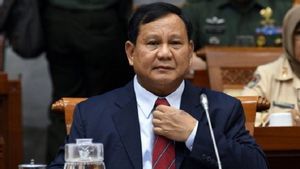 Anggota DPR F-Gerindra Sanggah Effendi Simbolon: Tak Ada Wacana Panggil Paksa Prabowo