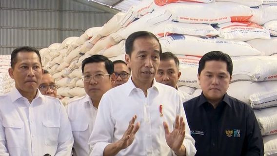 Cek Beras di Gudang Bulog Bogor-Jakarta, Jokowi: Kita Miliki Stok 2 Juta Ton, Tidak Usah Khawatir