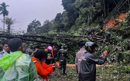 Sempat Terputus Akibat Longsor, Rabu Pagi Jalan Lintas Sumbar-Riau Bisa Dilalui Kendaraan