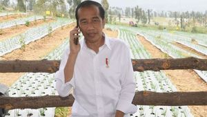 Berkunjung ke Bali hingga Sulteng, Presiden Jokowi Lakukan <i>Grounbreaking</i> RS Internasional dan Resmikan Smelter 
