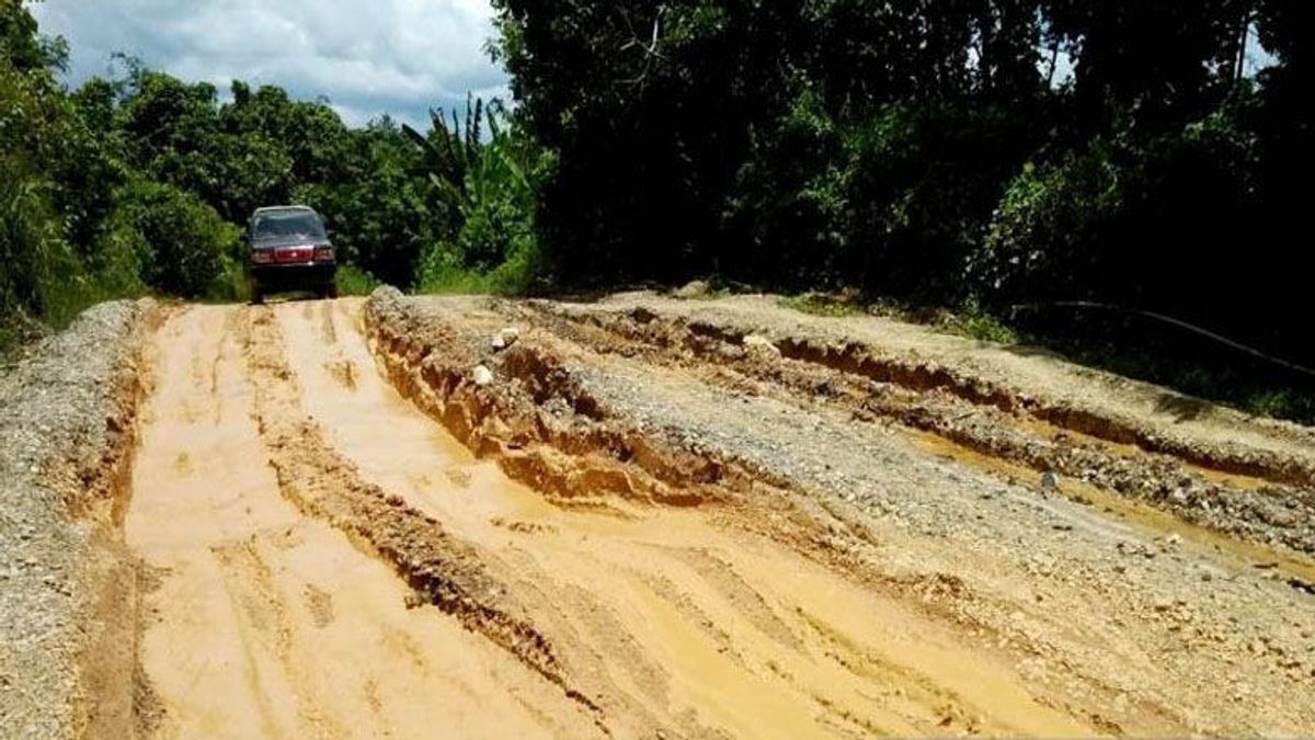 The North Barito Road, Central Kalimantan - West Kutai, East Kalimantan Is Damaged