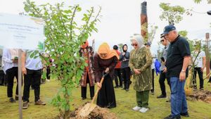 Khofifah Plants Maja Tree At IKN Symbol Of East Java New Gate Nusantara