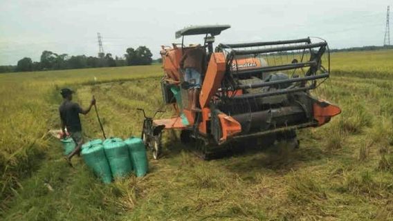 Le ministère des Affaires étrangères soutient les jeunes agriculteurs pour faire progresser leur agriculture