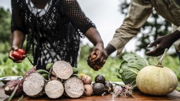 FAO: G20 Harus Galang Solidaritas Bagi Negara Rentan Kelaparan