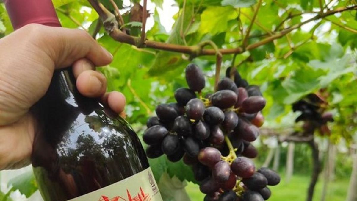 Puslabfor Polri 检查清真葡萄酒Nabidz的酒精含量