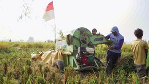 Impor Pertanian AS 0 Persen, DPR Minta Negara Perkuat Bulog dan ID FOOD