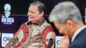 Build Economic Cooperation At Global Level, Airlangga: Indonesia Becomes Friends Of All Countries