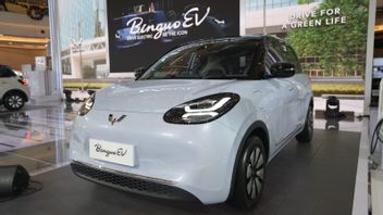电动汽车生态系统的发展,五菱将在2024年在印尼推出100个快速充电