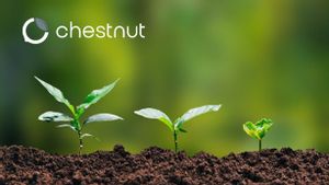 Microsoft Akuisisi Kredit Karbon dari Chestnut Carbon dalam Upaya Capai Tujuan Keberlanjutan