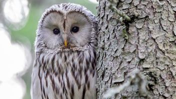 جاكرتا - 7 حقائق غريبة عن الحيوانات ستجعلك تشعر بالرعب والفضول؟