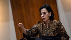 Sri Mulyani Presses Inflation Data Must Be Credible And Accurate