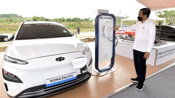 PLN准备电动汽车作为G20代表团在ETWG论坛上的运营车辆