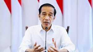 Survei Penilaian Buruk Kerja Pemerintah dari Segala Sisi: Stabilitas Harga Pokok Hingga Jaga Nilai Tukar Rupiah