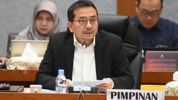 Jelang Natal-Tahun Baru, Komisi V DPR Minta Kemenhub Antisipasi Kepadatan 110 Juta Orang yang Berlibur