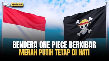 VOI Today: Prohibition Of Raising Flags And Eliminating One Piece Murals, Anti-Criticism Government?