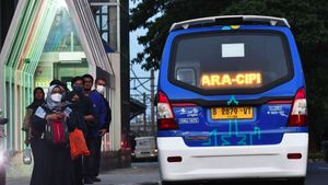 Viral Sopir Mikrotrans Jaklingko Ngamuk di Jalan, Pengamat: Perlunya Pembinaan, Minimal Sebulan Sekali