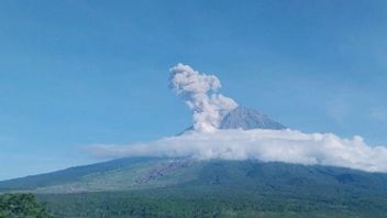    Gunung Semeru Erupsi Disertai Awan Panas Guguran Sejauh 2 Km