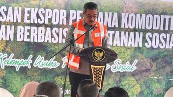 マルクは45トンの社会林業商品を中国・インドに輸出する