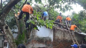 Strong Winds Hit Jember, 21 Houses Were Damaged