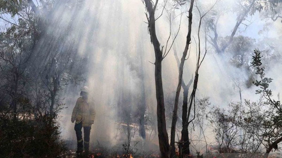 南スマトラ地方警察、森林火災と土地火災の克服に向けて126人を派遣