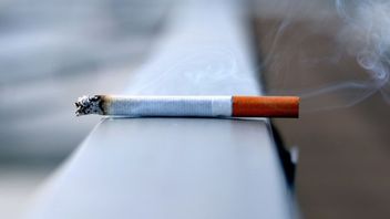 ar dans la zone sans cigarette de Jakarta sera passible d'une amende de 250 000 à 10 millions de roupies