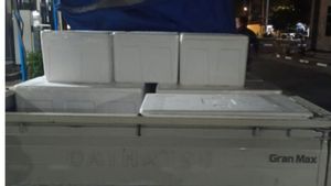 TNI AL Sita 85.000 Benih Lobster Ilegal diduga akan Diselundupkan