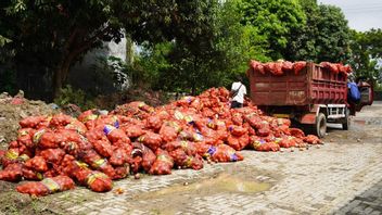 6.171 Bags of Illegal Bombay Onions Destroyed