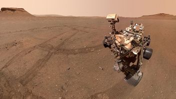 忍耐力は火星の古代の生命の証拠を含む最後の岩石サンプルを備蓄することに成功しました