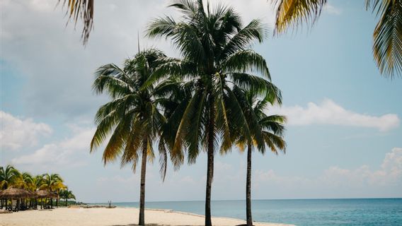 Balinese Citizens Evicted From Sanur Are Not The Only Example Of Beach Privatization, How Does The Law Regulate It?