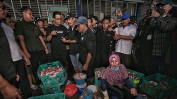 Anies Janji Berikan BPJS untuk Nelayan: Supaya Melaut dengan Tenang