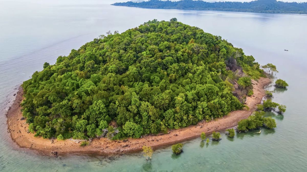 Viral, Island Sold For IDR 12 Billion, Netizens: Cheap, Compared To Houses In BSD