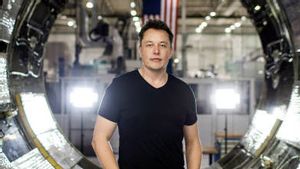 Elon Musk demande au tribunal de rejeter la poursuite des actionnaires de Twitter, c’est pourquoi