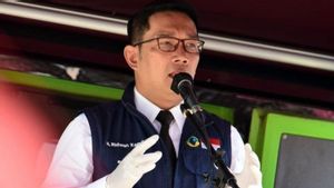 Jawa Barat Masih Nomor 1 Tujuan Investasi Asing, Ridwan Kamil: Jabar Tempat Terbaik dari Sisi Infrastruktur