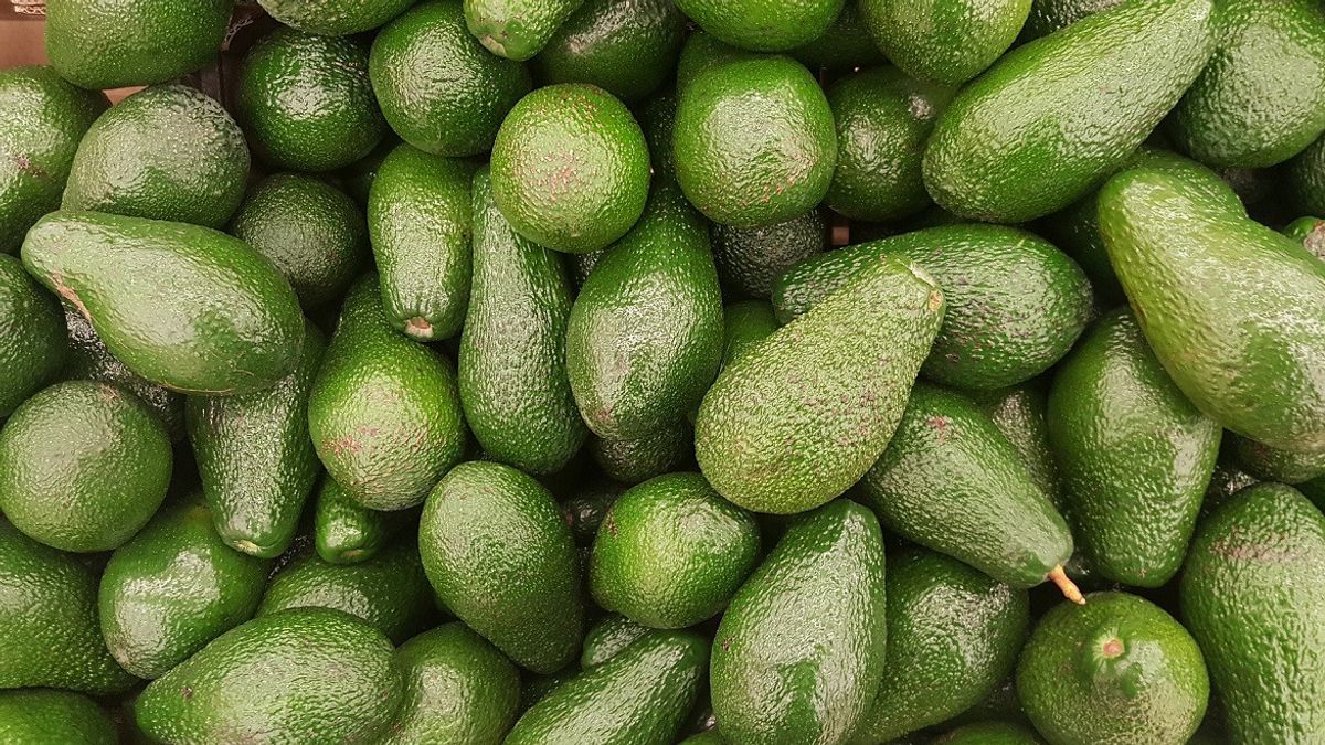 Mexico Tightens Exports, Avocado Prices Soar To Highest Level In 24 Years.