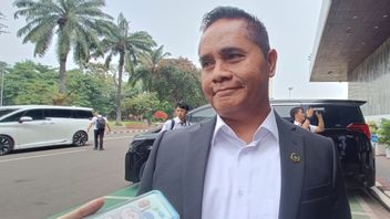 KKP Segera Tinjau Kerusakan Lingkungan Akibat Kegiatan Tambang di Pulau Citlim