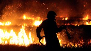 2 Ribu Orang Dievakuasi Akibat Kebakaran Hutan di Prancis
