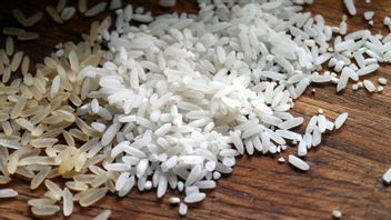 رفض واردات الأرز، PDIP: نحن نعرف وراء استيراد العديد من الصيادين رينت