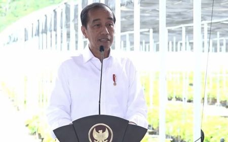 Jadi Pusat Penghijauan IKN, Jokowi Resmikan Fasilitas Persemaian Mentawir