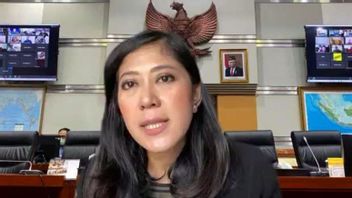 Meutya Hafid Values Cases Of Islamic Insults Injury To Cooperation Between Indonesia And India