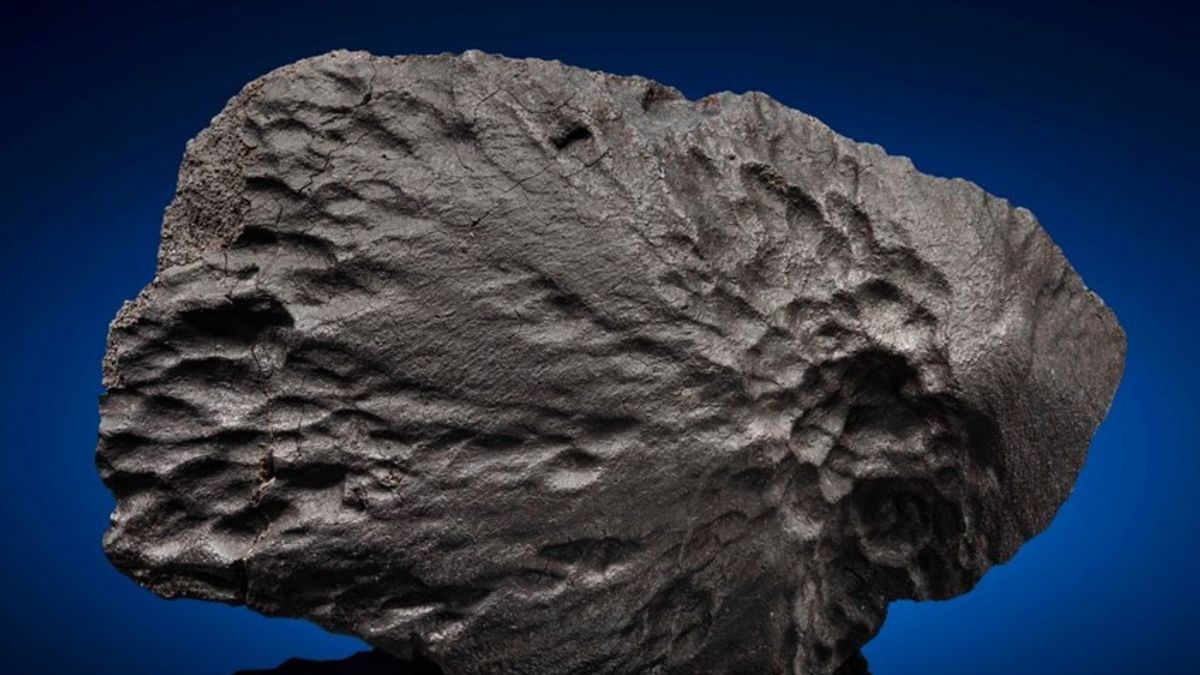 Meteorites From The Moon, Mars, And More Will Be Auctioned, Interested To Buy?