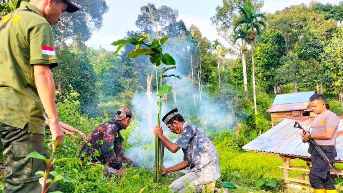 BKSDA Datangkan Pawang Harimau ke Aceh Jaya