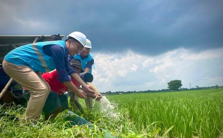 Petani Pekalongan Hemat Biaya Operasional hingga 80 Persen dengan Electrifying Agriculture